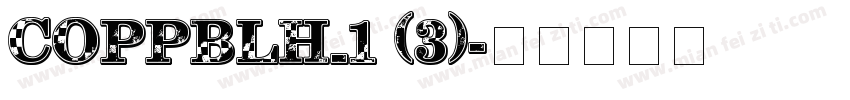 COPPBLH_1 (3)字体转换